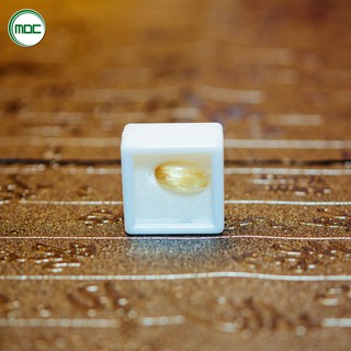 Combo 20 hộp đựng đá quý sang trọng màu trắng màu đen size 3x3x1,5cm