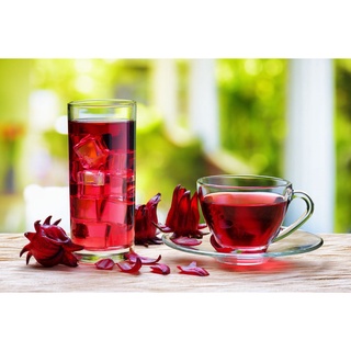 Combo Trà Hoa Hibiscus Chất Lượng Kết Hợp Cỏ Ngọt Thơm Ngon Dùng Ủ Lạnh Trà Cold Brew Giải Nhiệt Mùa Hè