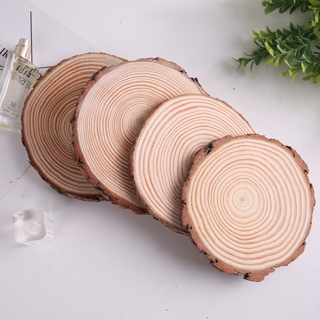 Miếng gỗ vân tròn phụ kiện decor chụp ảnh