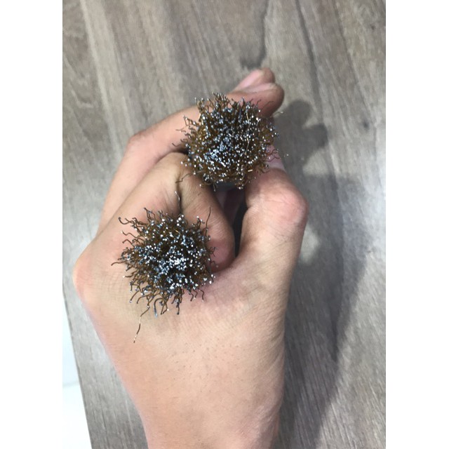 Chổi cước Giá rẻ