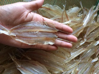 Cá cơm trắng khô không xương
