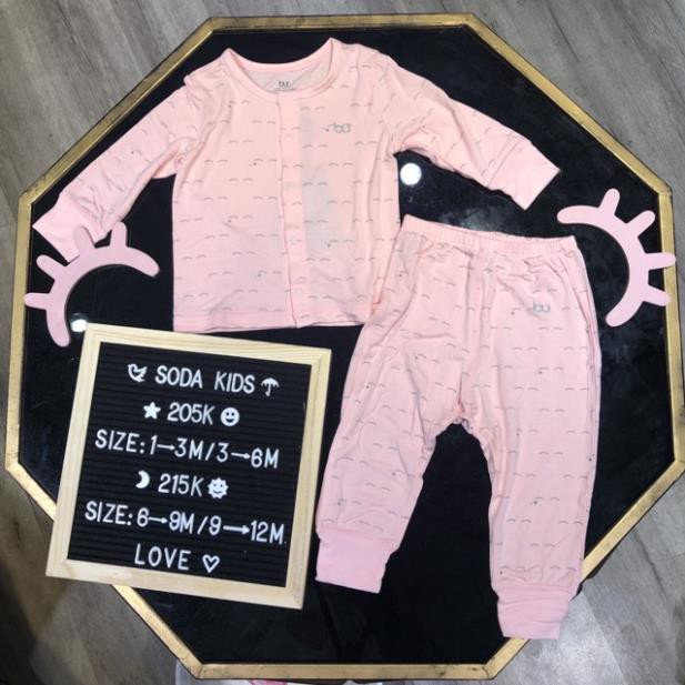 XẢ KHO BU CÀI CÚC GIỮA THU ĐÔNG 2019