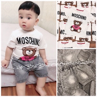 Áo phông gấu moschino