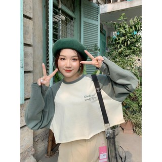 [ÁO KIỂU] Áo croptop tay dài Raplan Top