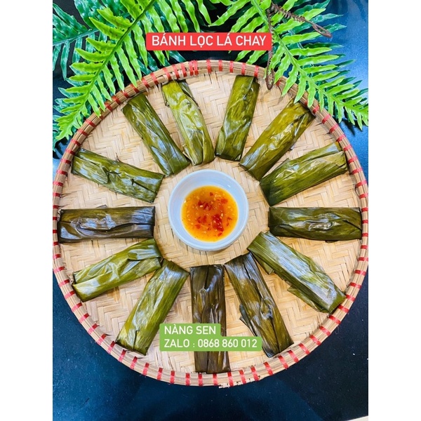 BÁNH LỌC LÁ CHAY