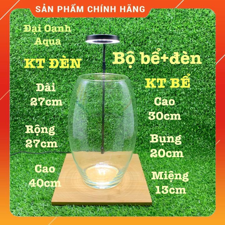Bộ Bể Cá Thủy Tinh Hình Trụ Tròn Kèm Đèn Đế Gỗ-Bể Cá Để Bàn
