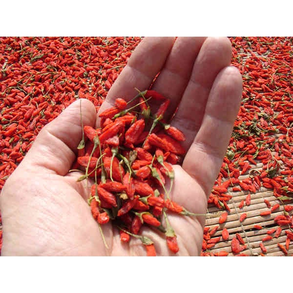 Kì Tử Hữu Cơ 500g
