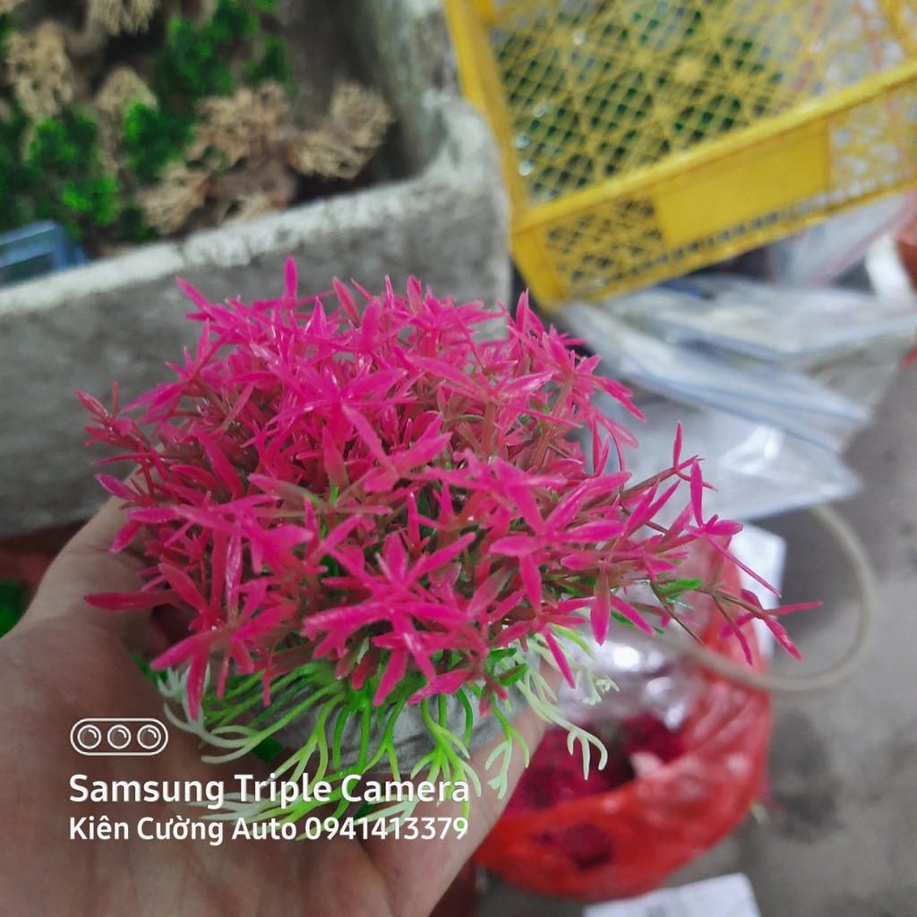 Mô hình trang trí cây nhựa cho bể cá cảnh, bể cá cao cấp