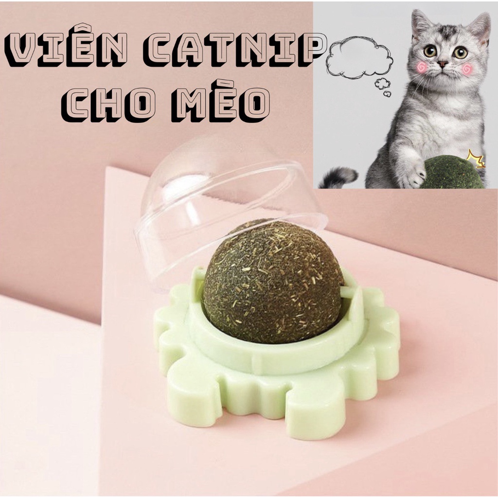 VIÊN CATNIP CỎ BẠC HÀ CHO MÈO GẮN TƯỜNG GIẢM STRESS