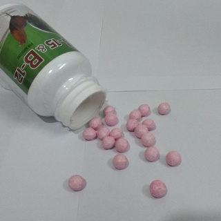 Gallomin vs B15 B12 nuôi gà chế độ đá