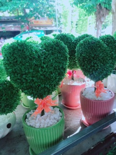 Cỏ may mắn hình trái tim
