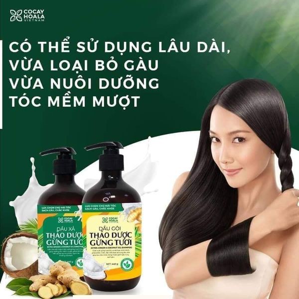Bộ dầu gội thảo dược Gừng Dừa CỎ CÂY HOA LÁ chăm sóc tóc mềm mượt, đánh bay gàu, giảm ngứa dung tích 440ml/ chai