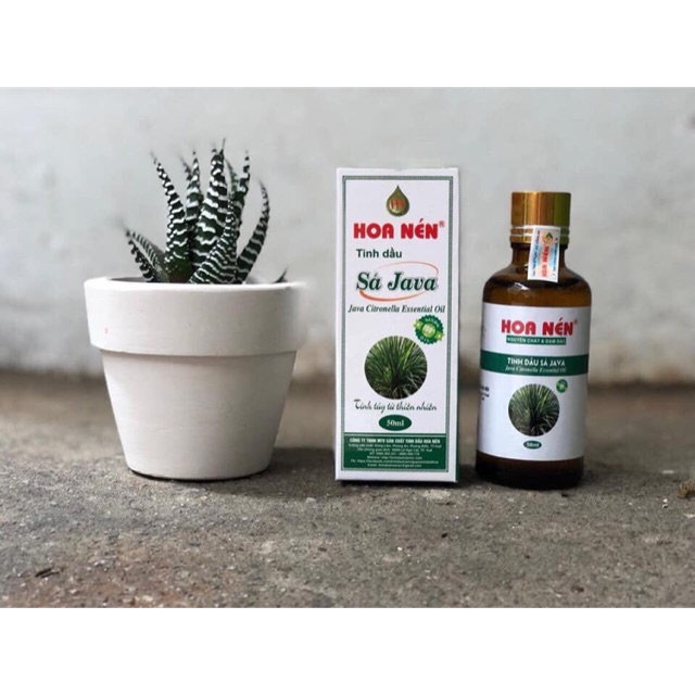 Tình dầu Sả JaVa,