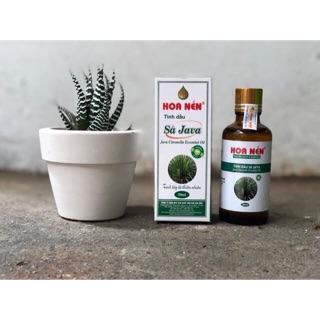 Tình dầu sả java,