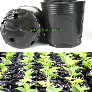 1kg Chậu ươm cây kích thước 18x16 - CH6