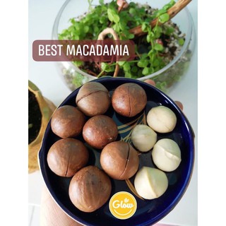 GLOW- Macca Daklak hảo hạng 500gr