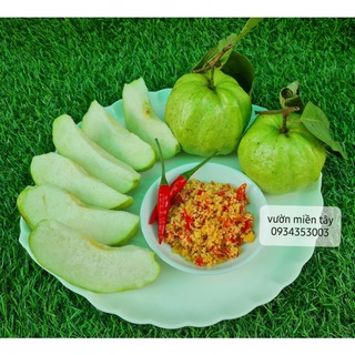 Ổi nữ hoàng, ổi lê giòn ngọt - 1kg