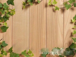 Thảm chụp ảnh 3D