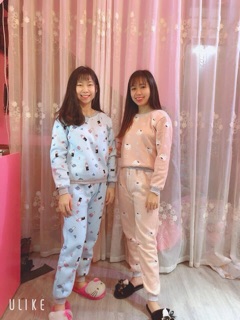 Bộ ngủ nỉ lót bông