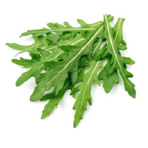 Lá xà lách Rocket tươi 100g/500g