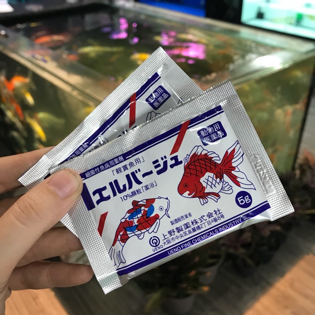 Kháng Sinh Tetra Nhật Cho Cá