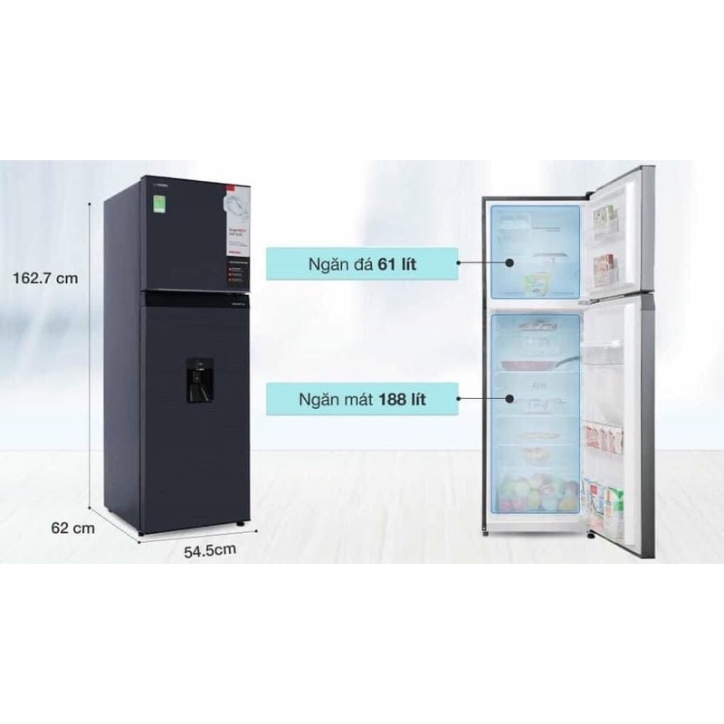 Tủ Lạnh Toshiba Inverter 249 Lít GR-RT325WE-PMV-MG Miễn Phí Giao Lắp Hà Nội