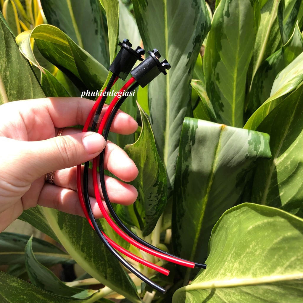 Jack đèn T10 đèn hông cửa Mitsubishi Grandis hoặc các xe khác dùng chung tương tự