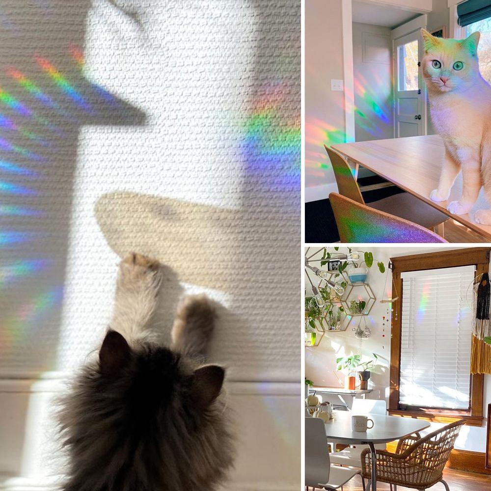 Miếng Dán Cửa Sổ Hình Bướm Hiệu Ứng Cầu Vồng Mới DIY Dành Cho