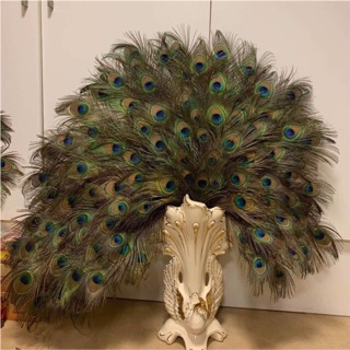 108 cành lông công khách đặt loại to 90-100cm