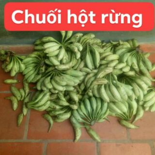 Chuối hột rừng khô Tây Bắc