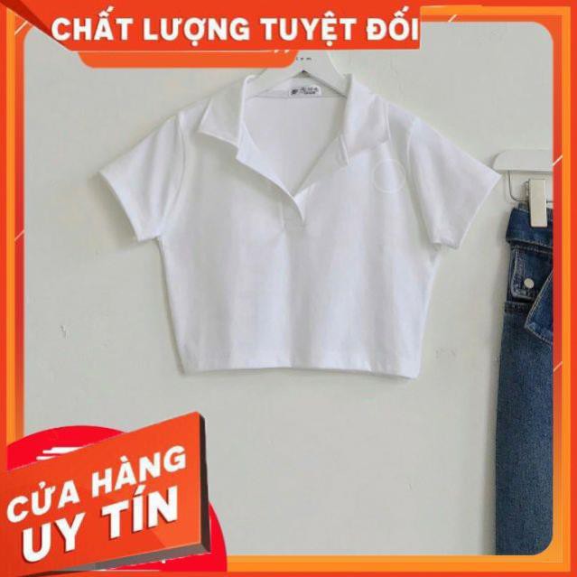 Áo Croptop cổ trụ PLO (Video thật) full size
