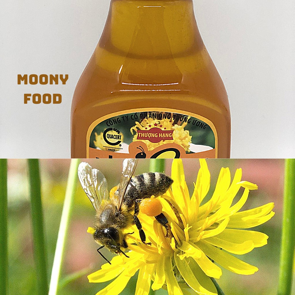 Mật Ong Rừng Hoa Nhãn Bạc Hà Nguyên Chất Vina Bee Hộp 360G