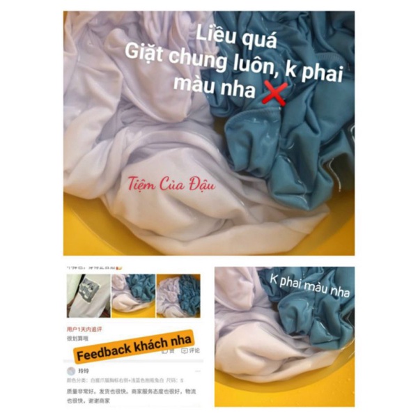 SÉT HAI ÁO PHÔNG NỮ