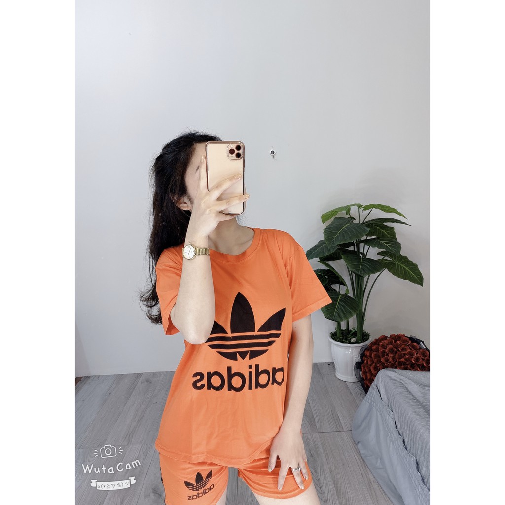 Bộ DAS Cam Hót Trend NH554 | BigBuy360 - bigbuy360.vn