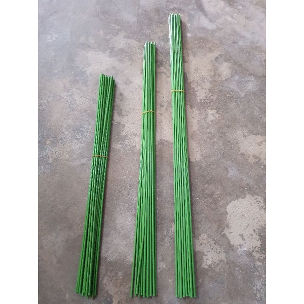 10 que cắm lan dài 60cm. cây giữ lan