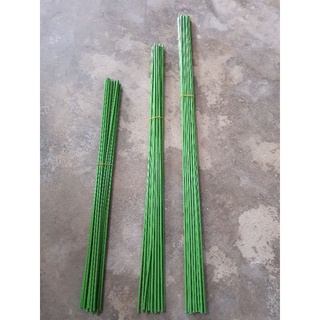 10 que cắm lan dài 60cm. cây giữ lan