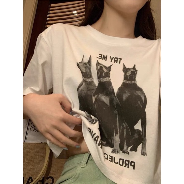 Áo croptop form rộng chất thun in hình chó cá tính hàng Quảng Châu