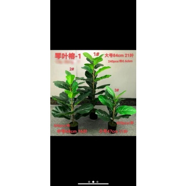 Cây Giả - Cây bàng singapo giả cảnh cao  65 -90 cm (cây kèm chậu)