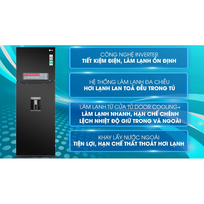 tủ lạnh LG Inverter 315 lít D315BL.