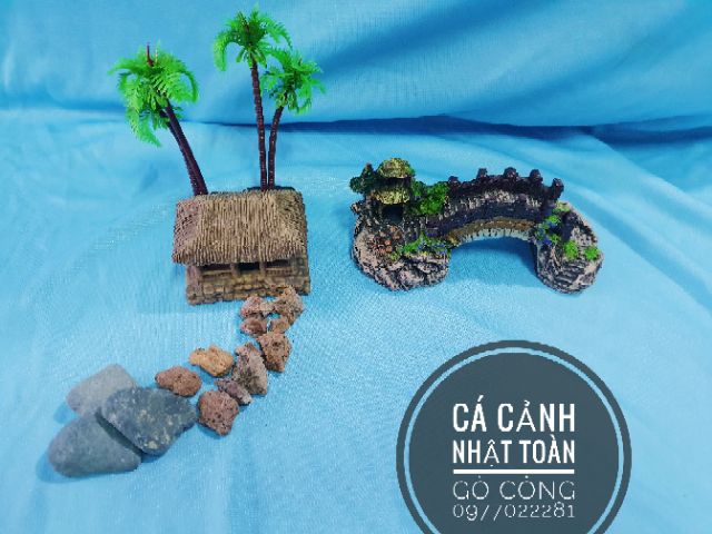 COMBO TRANG TRÍ HỒ CÁ NON BỘ 155K MẪU 2