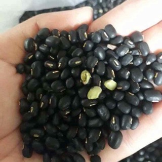 Đỗ đen xanh lòng nhỏ hạt 1kg