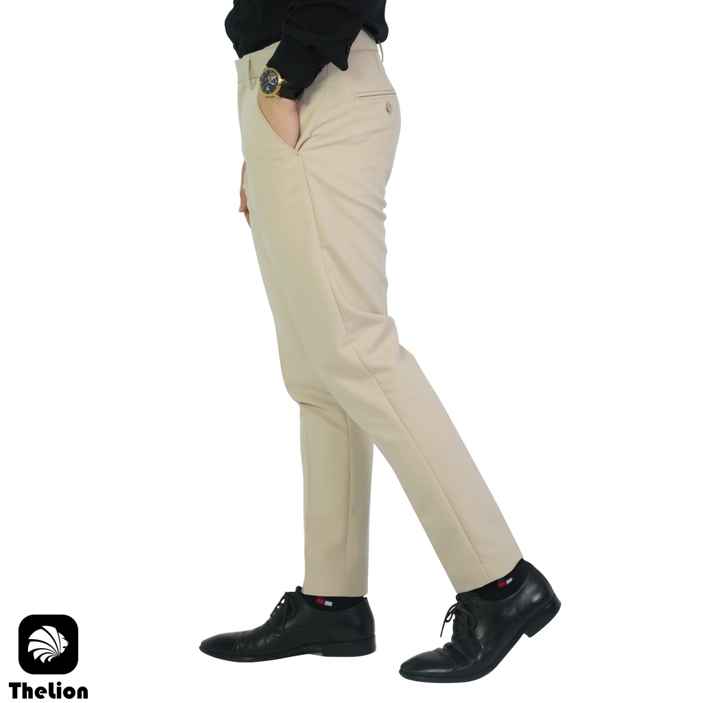 Quần âu nam - quần tây nam cao cấp tăng cạp chun vải dày dặn chống nhăn co giãn thoải mái chuẩn form slimfit | TheLion