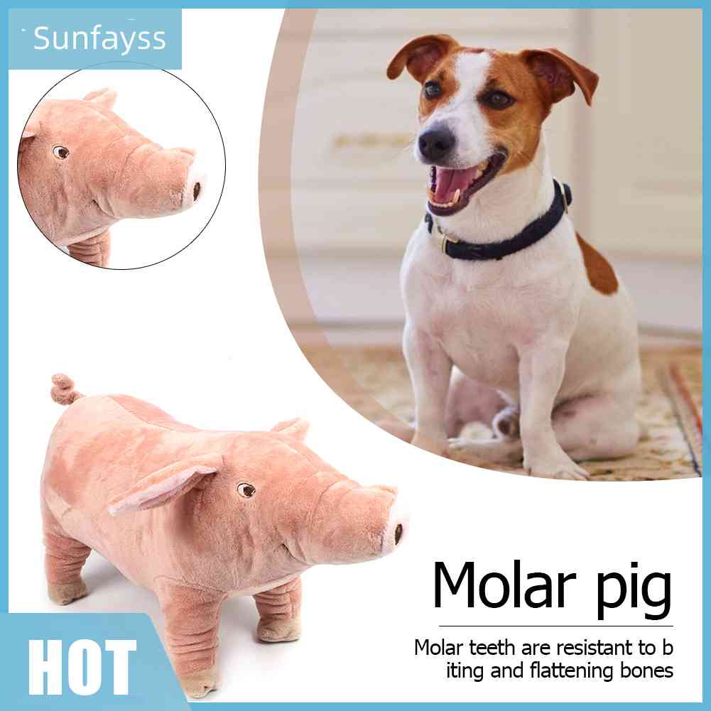 Thú Nhồi Bông Hình Heo Con Chống Cắn Dễ Thương Cho Thú Cưng