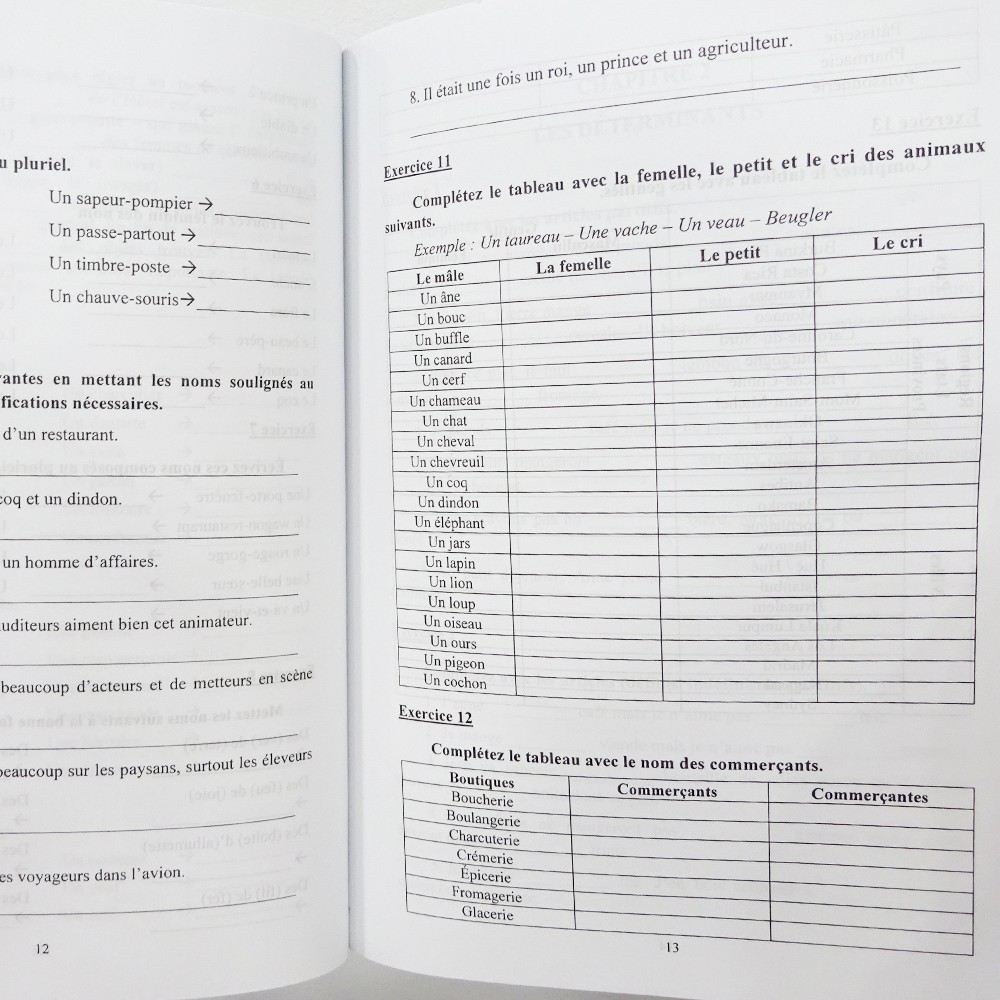 Sách - Bài Tập Ngữ Pháp Tiếng Pháp - Sách học Tiếng Pháp Độc quyền Nhân Văn