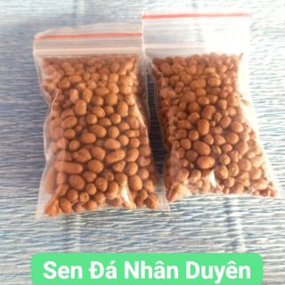 Hòn đất nung hạt nhỏ