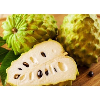 Cây giống na dứa đài loan