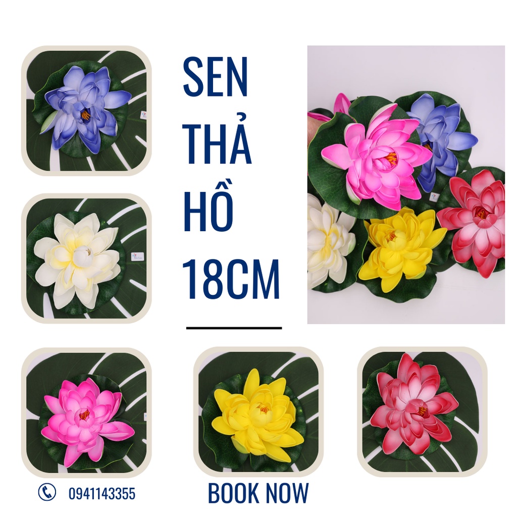 HCM_Hoa sen thả hồ, trang trí tiểu cảnh thả nổi trên nước