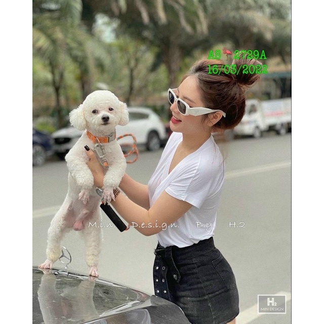 Áo Thun Cộc Tay CỔ TIM Hương Quỳnh Bigsize