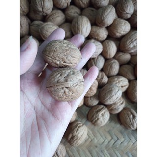 ÓC CHÓ CHILE NHÂN 500G