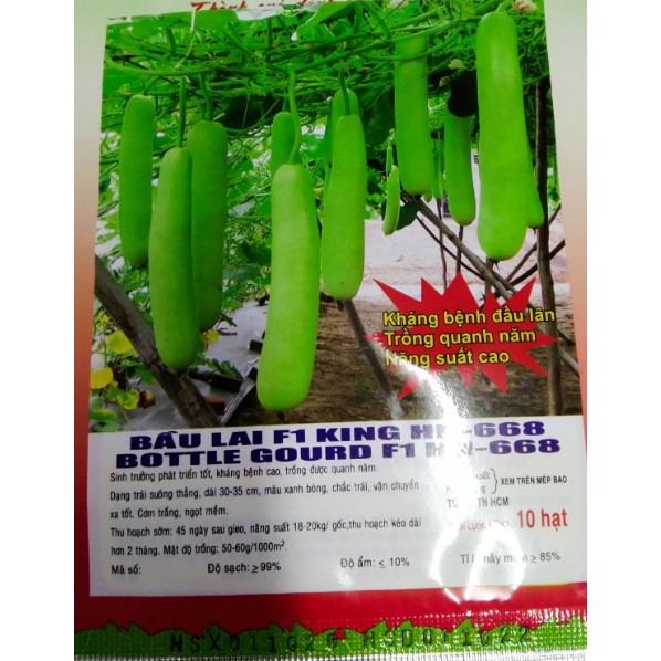 HẠT GIỐNG BẦU TRÁI DÀI F1 - GÓI 10 HẠT
